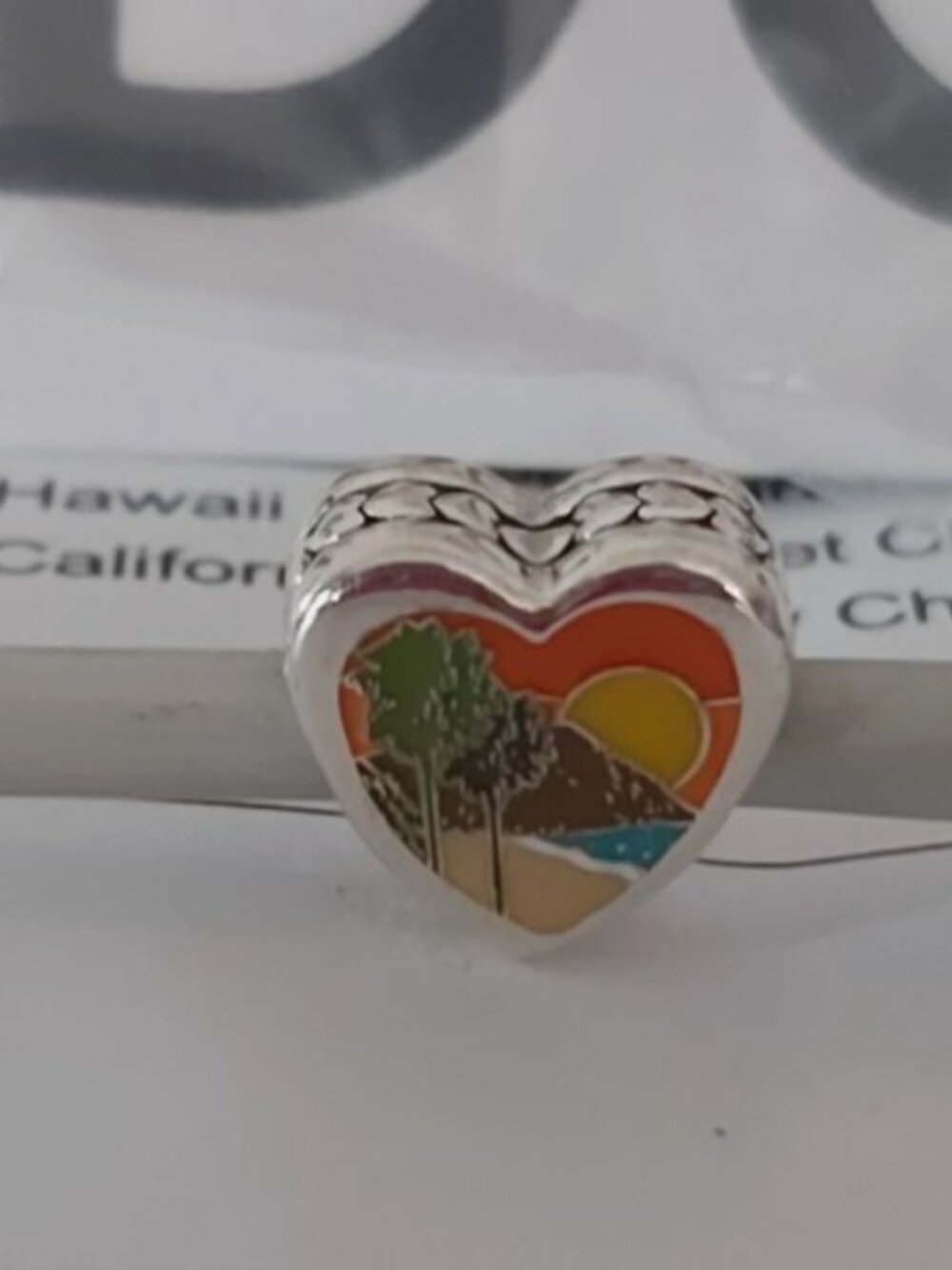 AUTH PANDORA Sterling Silver doubled-sided California Scenery Charm ENG792015_88